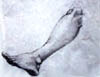 charcoal leg study - 1995