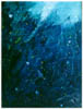 Nocturne #5