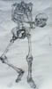 Skeleton study - life size, charcoal - 1995