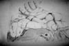untitled charcoal - 1995