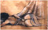Nap- charcoal - 1995