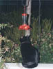 The humming birds won't see me if I hold really still...