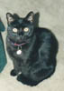 my buddy Ra