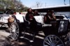 Sonya & Jett on the mule ride!